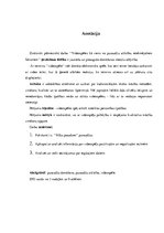 Referāts 'Videospēles kā viens no pusaudžu attīstību ietekmējošiem faktoriem', 2.