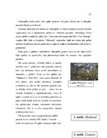 Referāts 'Videospēles kā viens no pusaudžu attīstību ietekmējošiem faktoriem', 17.