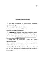 Referāts 'Videospēles kā viens no pusaudžu attīstību ietekmējošiem faktoriem', 29.