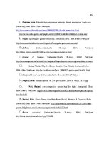 Referāts 'Videospēles kā viens no pusaudžu attīstību ietekmējošiem faktoriem', 30.