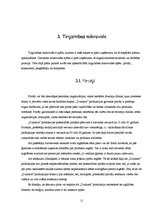 Referāts 'Tirgzinības plāns AS "Dzintars"', 11.