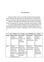 Referāts 'Tirgzinības plāns AS "Dzintars"', 12.