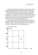 Referāts 'Tirgzinības plāns AS "Dzintars"', 18.