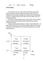 Referāts 'Tirgzinības plāns AS "Dzintars"', 19.