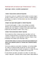 Konspekts 'Patstāvīgais darbs par Aspazijas lugas ‘’Sidraba šķidrauts’’ 1.cēlienu', 1.