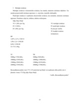 Prakses atskaite 'Ražošanas prakse uzņēmumā SIA "Roze GV"', 19.