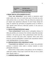 Referāts 'Cenu veidošanās faktori un politika', 20.