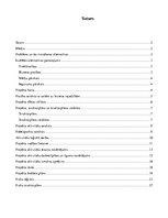 Referāts 'Ievads projektu vadībā', 2.