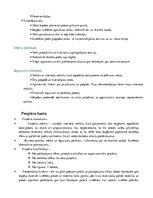 Referāts 'Ievads projektu vadībā', 5.