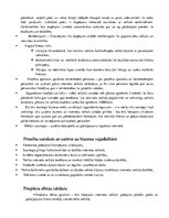 Referāts 'Ievads projektu vadībā', 6.