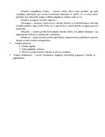 Referāts 'Ievads projektu vadībā', 7.