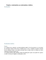 Referāts 'Ievads projektu vadībā', 8.