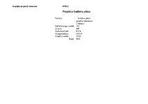 Referāts 'Ievads projektu vadībā', 20.