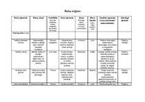 Referāts 'Ievads projektu vadībā', 22.