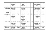 Referāts 'Ievads projektu vadībā', 23.