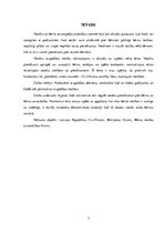 Referāts 'Bērna aprūpes tiesību pārtraukšana', 3.