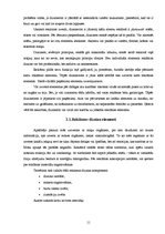 Referāts 'Reklāmas vizuālā noformējuma ietekme', 11.