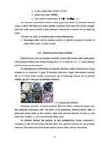 Referāts 'Reklāmas vizuālā noformējuma ietekme', 14.