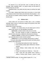 Referāts 'Reklāmas vizuālā noformējuma ietekme', 20.