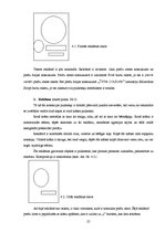 Referāts 'Reklāmas vizuālā noformējuma ietekme', 25.