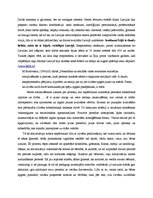 Referāts 'Kāpēc cilvēki izbrauc no Latvijas strādāt uz citām valstīm', 4.