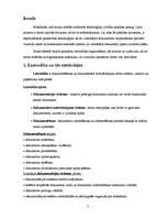 Referāts 'Lietvedības tehniskie līdzekļi', 2.