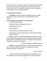 Referāts 'Lietvedības tehniskie līdzekļi', 8.