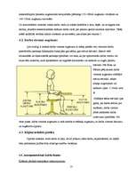 Referāts 'Lietvedības tehniskie līdzekļi', 12.