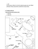 Referāts 'Lietvedības tehniskie līdzekļi', 20.