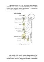 Diplomdarbs 'Psihosociālo faktoru radītās problēmas un preventīvie pasākumi sociālās aprūpes ', 17.