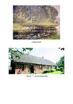 Referāts 'Vilhelms Purvītis (1872.-1945.)', 12.