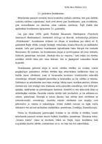 Eseja '21.gadsimta humānisms', 1.