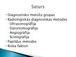 Prezentācija 'Nefropātiju radioloģiskās diagnostikas metodes', 3.