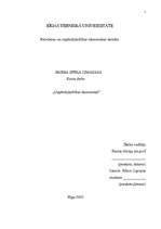 Referāts 'Darba spēka izmaksas', 1.