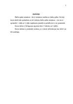 Referāts 'Darba spēka izmaksas', 2.