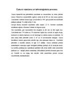 Referāts 'Cukura ražošana', 3.