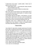 Referāts 'Cukura ražošana', 6.