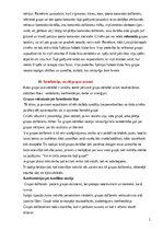 Konspekts 'Saskarsmes kultūra un profesionālā ētika - pārbaudes jautājumi', 16.