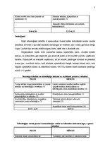 Referāts 'SIA "Solaris" mārketinga politikas izstrādāšana', 7.