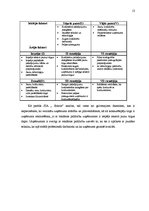 Referāts 'SIA "Solaris" mārketinga politikas izstrādāšana', 13.