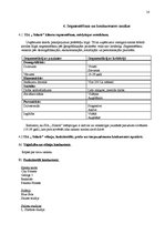 Referāts 'SIA "Solaris" mārketinga politikas izstrādāšana', 14.