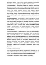 Konspekts 'Apdrošināšanas tiesību konspekts', 10.