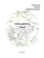 Biznesa plāns 'ZS "Fortūna"', 1.