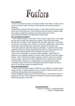 Konspekts 'Fosfors', 1.