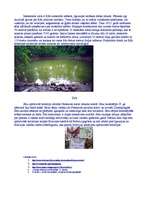 Konspekts 'Igaunija', 4.