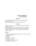 Referāts 'Sausie maisījumi', 8.