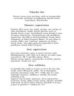 Referāts 'Sausie maisījumi', 12.