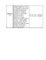 Referāts 'Sausie maisījumi', 20.