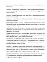 Diplomdarbs 'Tūristu izpriecas Rīgā - pozitīvais un negatīvais', 6.