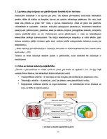 Diplomdarbs 'Tūristu izpriecas Rīgā - pozitīvais un negatīvais', 11.
